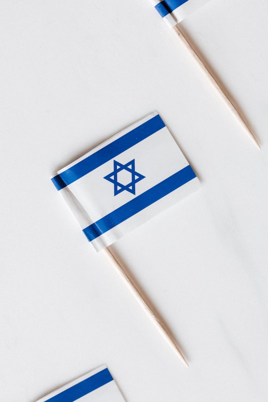 israel mini toothpick flags on white table